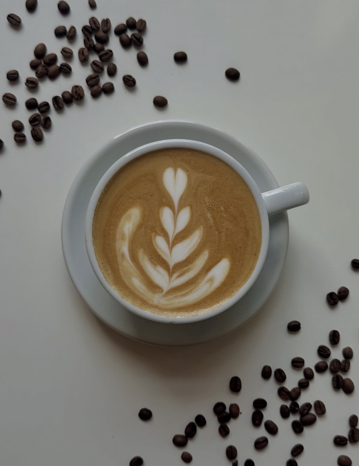 Specialty coffee bij Espressobar Smûk Sneek — barista zet cappuccino met latte art